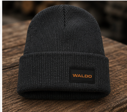 Waldo Beanie